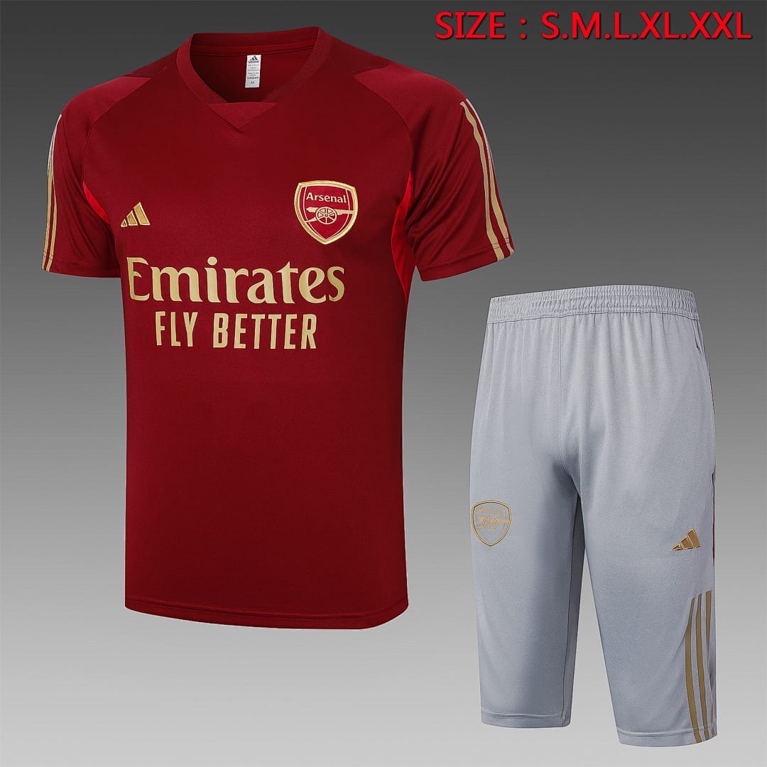 Arsenal 23/24 Camiseta Entrenamiento · Vino