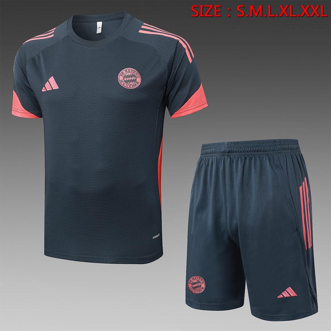 Bayern Múnich 25/26 Camiseta Entrenamiento · Gris Oscuro