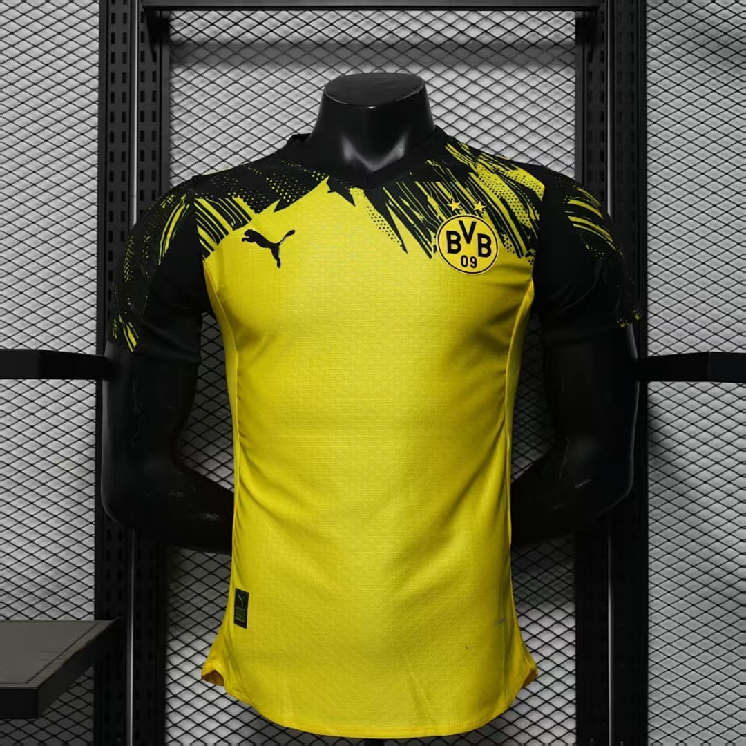 Borussia Dortmund 25/26 Local